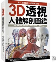3D透視人體解剖圖鑑圖片