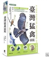 臺灣猛禽圖鑑圖片